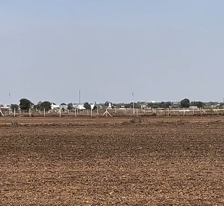 Premium 5 Acre Farm with House & 1500 Trees | Rajkot